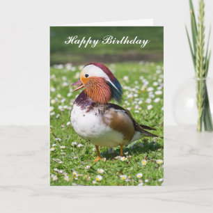 Carte d'anniversaire Mandarin Duck personnalisée.