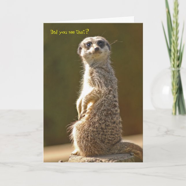Carte d'anniversaire Meerkat (Devant)