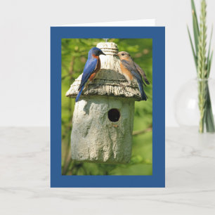 carte d'anniversaire merlebleu