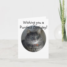 Carte d'anniversaire - MERLIN le chat