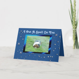 Carte d'anniversaire mignonne avec Basset Hound et