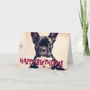 Carte D Anniversaire Mignonne De Bouledogue Zazzle Fr