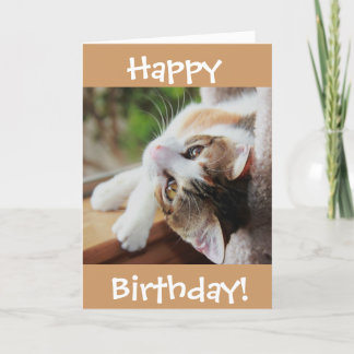 Carte d'anniversaire mignonne de chat de calicot,
