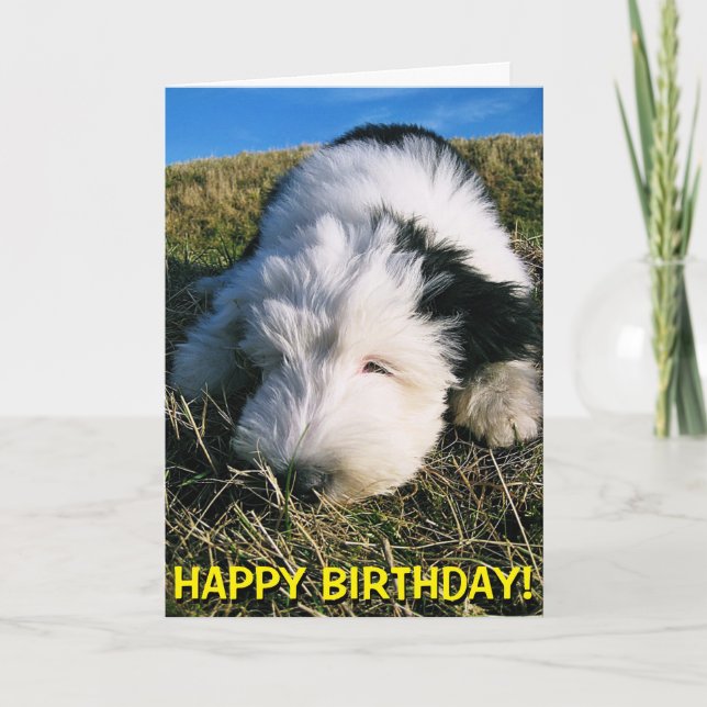 Carte d'anniversaire mignonne de chiot de chien de (Devant)