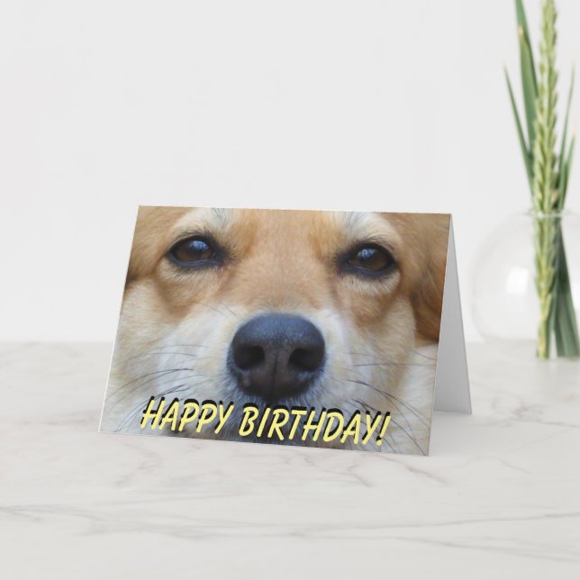 Carte d'anniversaire mignonne de corgi (Devant)