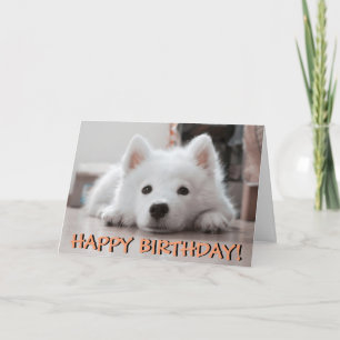 Carte d'anniversaire mignonne de photo de chiot