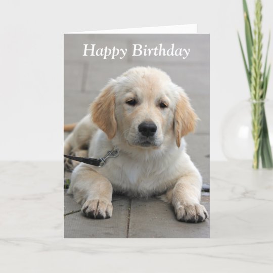 Carte D Anniversaire Mignonne De Photo De Chiot De Zazzle Fr