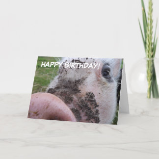 Carte d'anniversaire mignonne de porc
