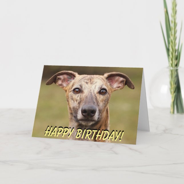 Carte d'anniversaire mignonne de whippet (Devant)