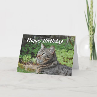 Carte d'anniversaire : Minnie le chat