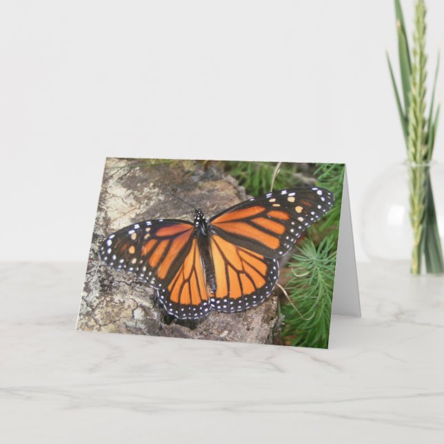 Carte d'anniversaire Monarch Butterfly (Devant)