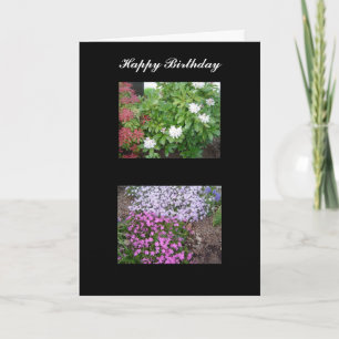 Carte d'anniversaire Nature