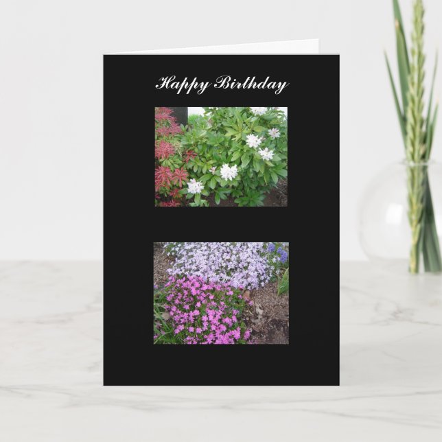 Carte d'anniversaire Nature (Devant)