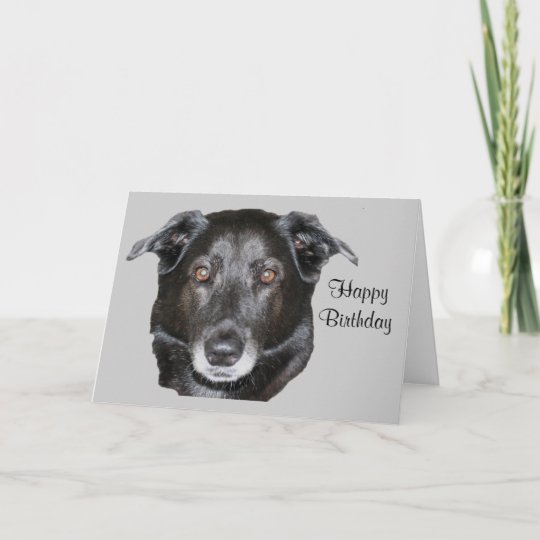 Carte D Anniversaire Noire De Chien De Labrador Zazzle Fr