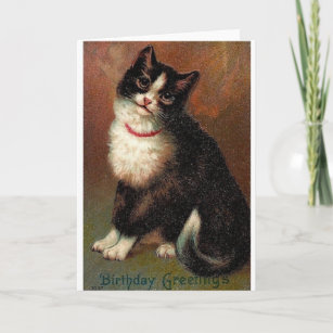 Noir Chat Blanc Anniversaire Greetings Carte Vierge Maison Cartes De Voeux Papeterie