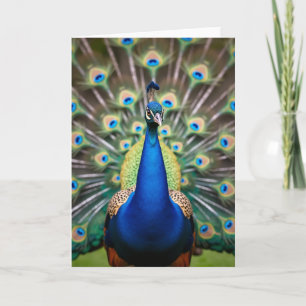 Carte d'anniversaire Oiseau Azur