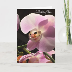Carte d'anniversaire Orchidée Rose