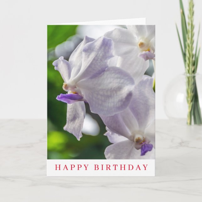 Carte d'anniversaire orchidées blanches (Devant)