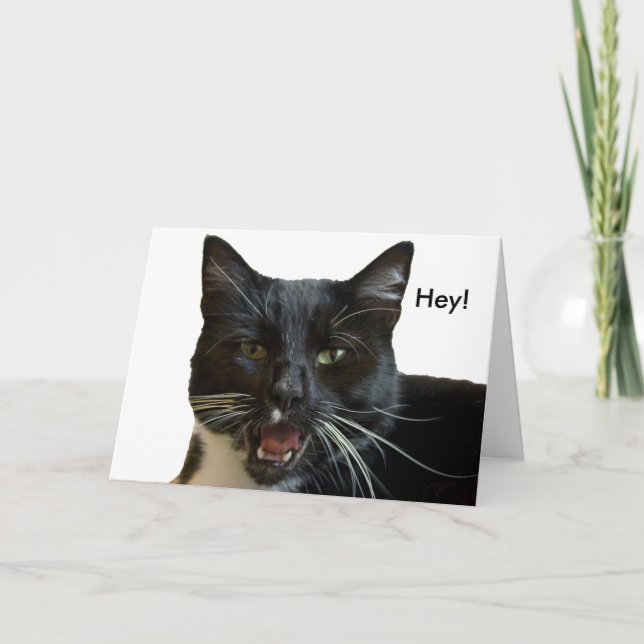 Carte d'anniversaire : Ou autre chat (Devant)