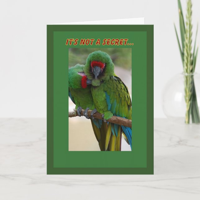 Carte d'anniversaire Parrot Couple (Devant)