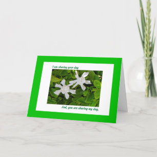 Carte d'anniversaire partagée, Gardenias