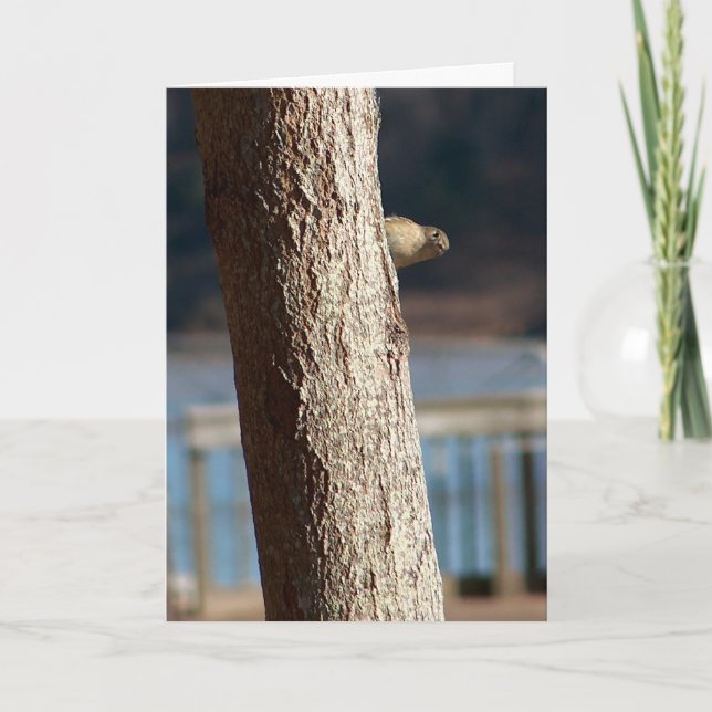 carte d'anniversaire peek a boo (Devant)