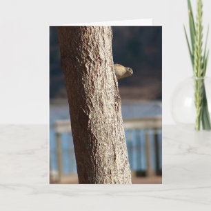 carte d'anniversaire peek a boo