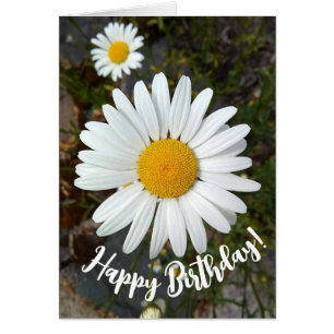 Carte d'anniversaire Perky White Daisy Flower