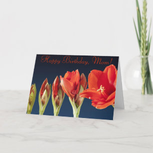 Carte d'anniversaire personnalisée avec des glaïeu