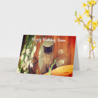 Carte d'anniversaire personnalisée pour chats de S