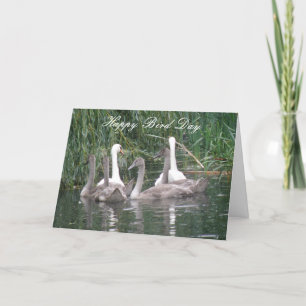 Carte d'anniversaire personnalisée Swans and Cygne
