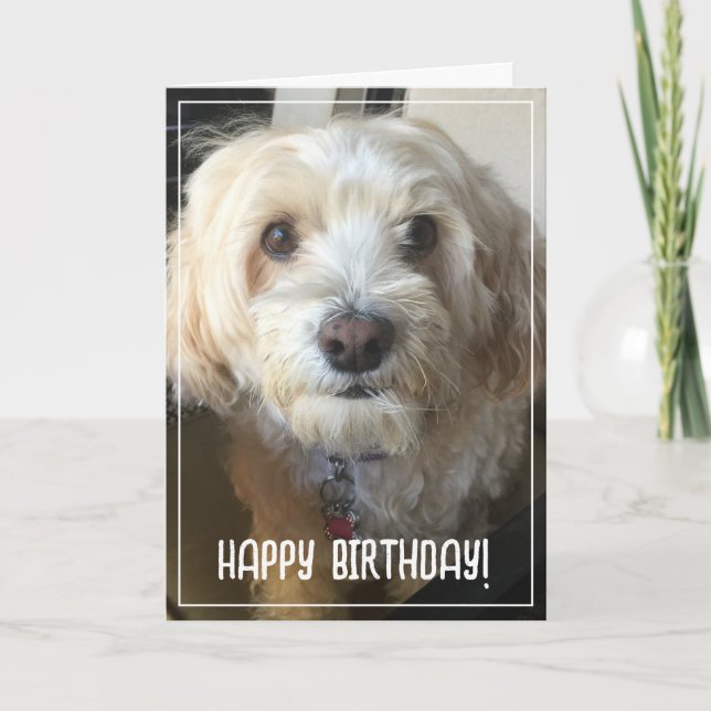 Carte d'anniversaire photo (Devant)