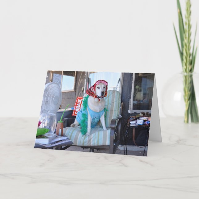 Carte d'anniversaire, photo de chien dans des (Devant)