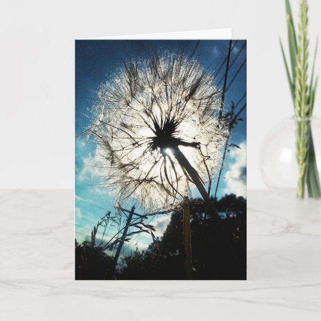 Carte d'anniversaire "Pissenlit au Soleil" (Devant)