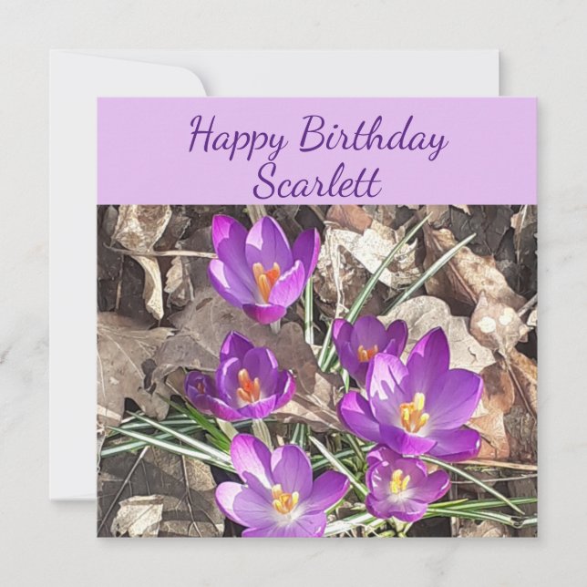 Carte d'anniversaire Plat de Crocus pourpre (Devant)