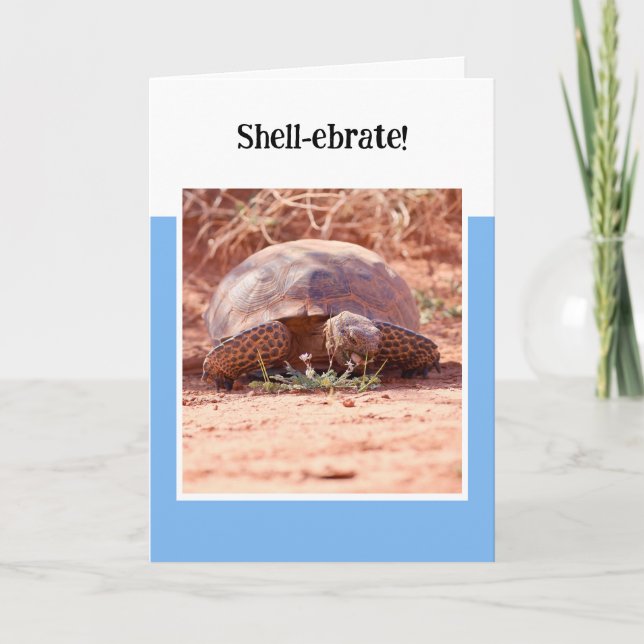 Carte d'anniversaire pliée Tortue du désert (Devant)