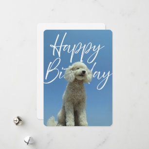 Carte d'anniversaire pour amateur de chien caniche