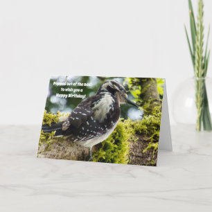 Carte d'anniversaire pour amateurs d'oiseaux