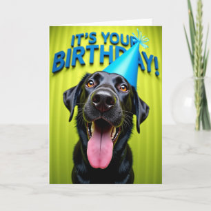 Carte d'anniversaire pour animal de compagnie sour