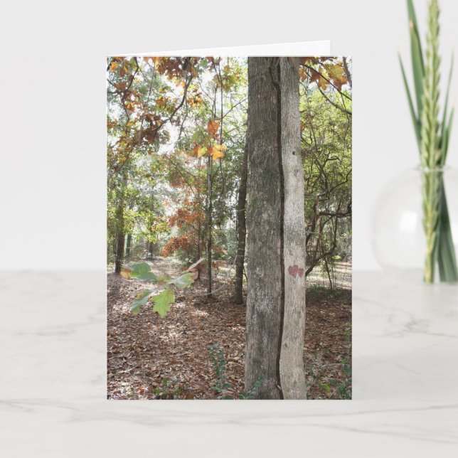 Carte d'anniversaire pour ce fils spécial (Devant)