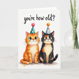 Carte d'anniversaire pour chat curieux