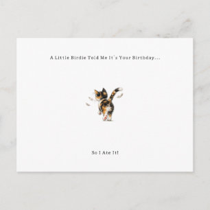 Carte d'anniversaire pour chat et oiseau drôle.