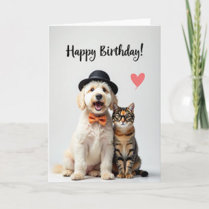 Carte d'anniversaire pour chat intelligent