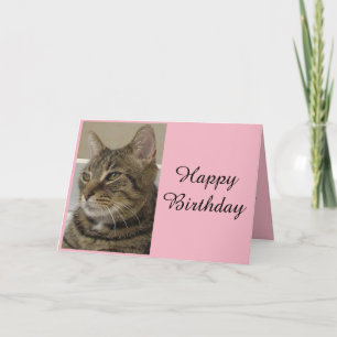 Carte d'anniversaire pour chat tigré