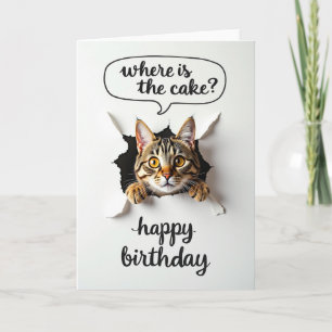 Carte d'anniversaire pour chat tigré joueur