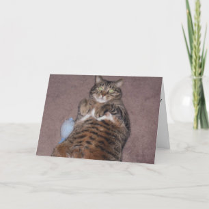 Carte d'anniversaire pour chats amusants (grande i