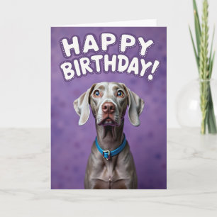 Carte d'anniversaire pour chien argenté