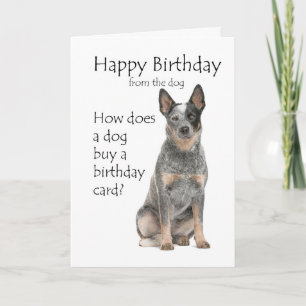 Carte d'anniversaire pour chien de troupeau