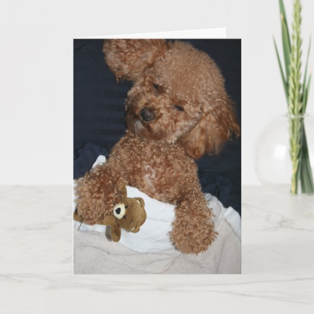 Carte d'anniversaire pour chiot (Devant)