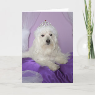 Carte d'anniversaire pour la petite-fille --